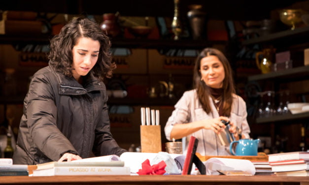 Review of Noura at the Guthrie Theater
